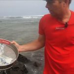 2050 yılında denizlerde balıktan çok plastik olacak