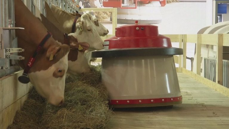 “Yeni nesil çiftlikler robotlarla donatılacak”