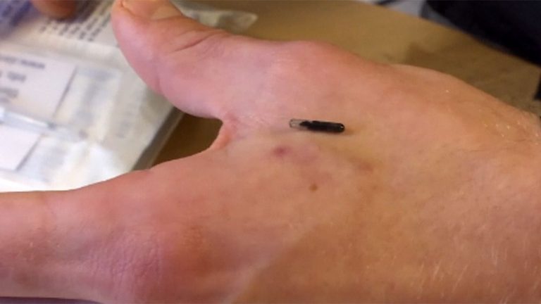 Radiff tanıma çipleri Brüksel ofislerine girdi