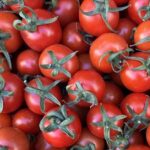 Patateslerin atası çıktı! – Teknolojik Haberler