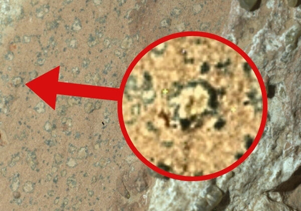 Mars’taki yaşam izleri ne anlama geliyor? Astrobiyolog açıklıyor