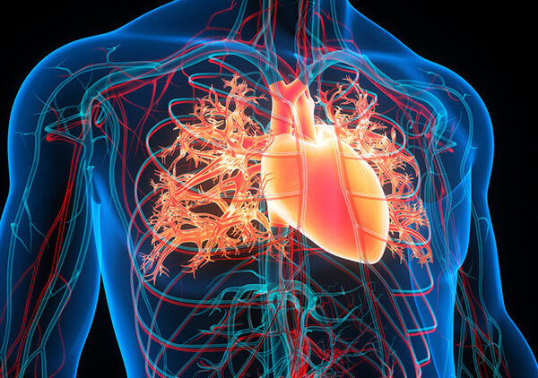 İnsan kolundaki ekstra damar giderek daha yaygın hale geliyor