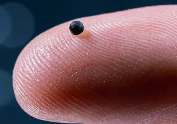 Damar tıkanıklıklarında yeni umut: mikro robotlar