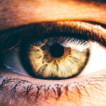 İnsan gözünün 4K televizyona ihtiyacı yok