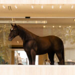 Bu kahve hakkında çok konuşuluyor! Sanat ve teknolojiyi birleştiren bir kahve