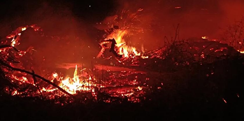 Bilecik’teki Çiftlik Arazisinde Yangın Çıktı